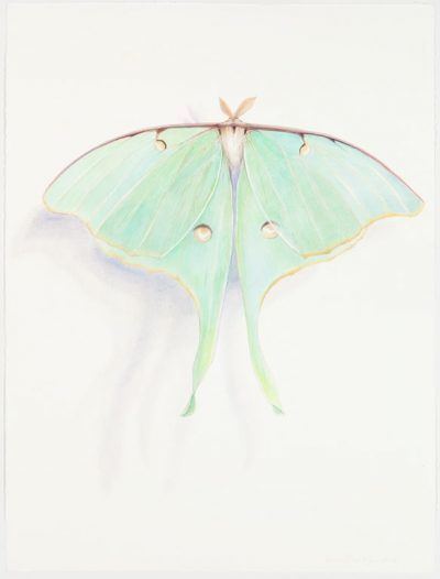 hlwtemmxitjglruw8ky9