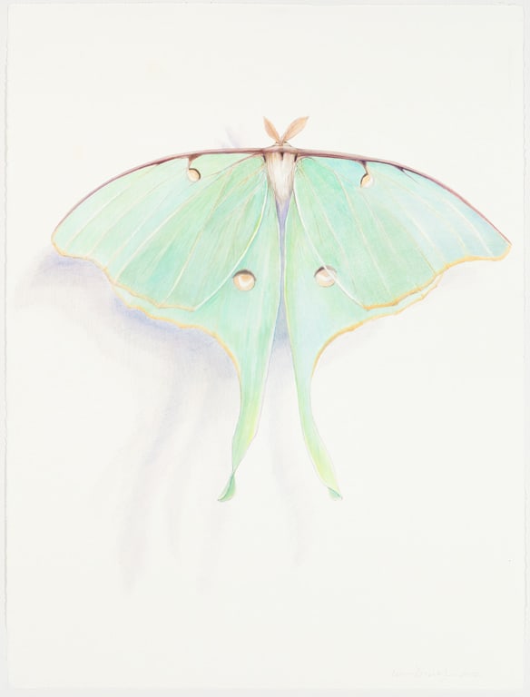 hlwtemmxitjglruw8ky9