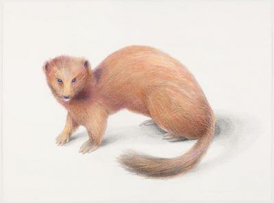 iohcp89cobz4qyyrdu6k