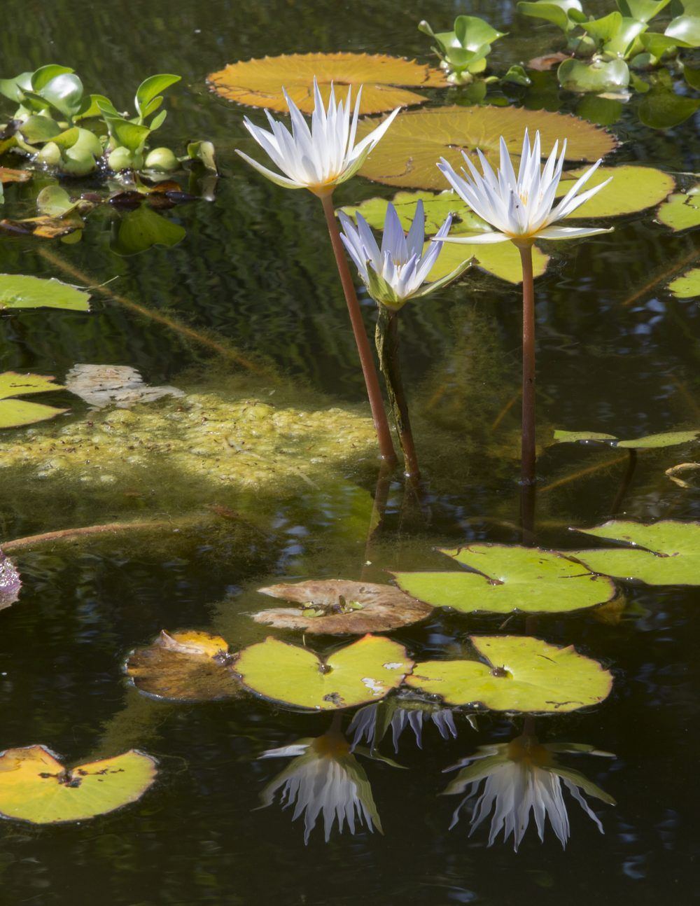 ivhvzwzboojo9tywftui