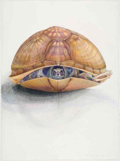 jq8i9kue5smdi5qw6gfo