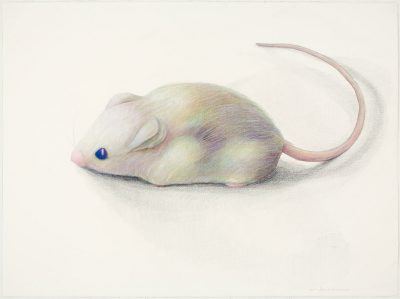 kl6yxal5w3ytfm6a2fgb