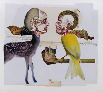 m5vsaiaqcsxdcziw5gu6