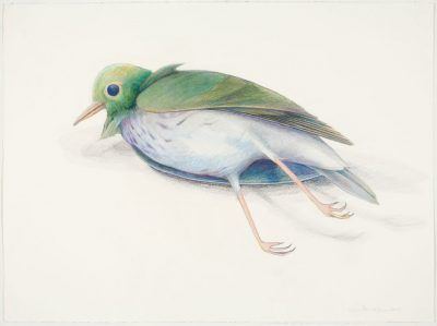 n98sukthystaxz24xa2q