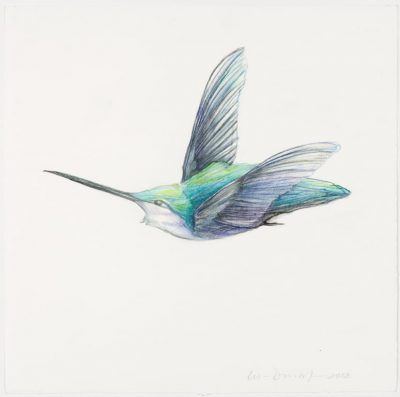 nlc9t2fimt5toumzyis2