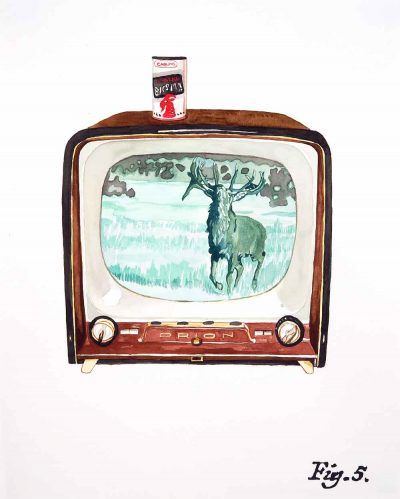 orecn2lxeje2zmwwhxje