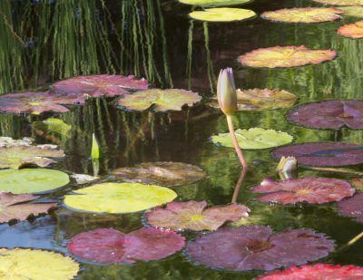 orxuiv5evgezntimcug6