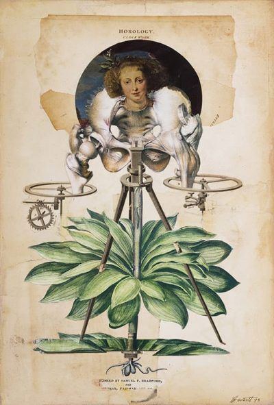 p0jc8ityfbxcfhcblyp6