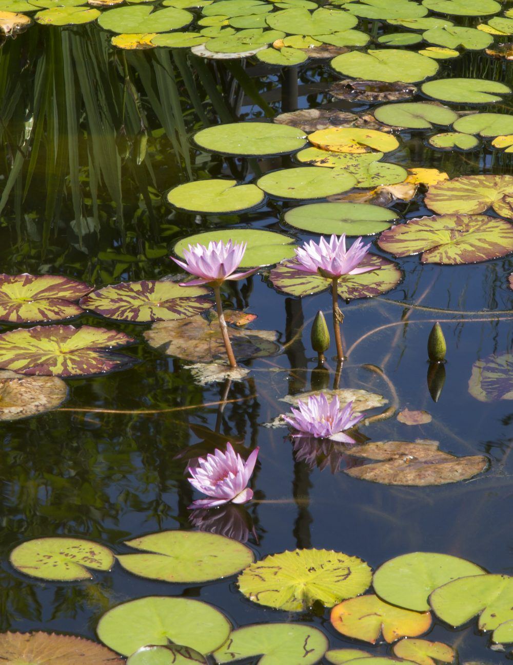 q5ldcfpighlsk9p6mqac