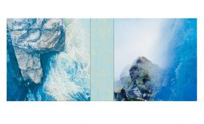 r1bwl95bijmvzq1fss3k