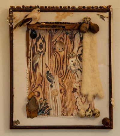 rwqaykzn0tijktrjosym