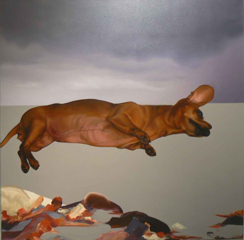 sdamegj0kq4carr5hktr