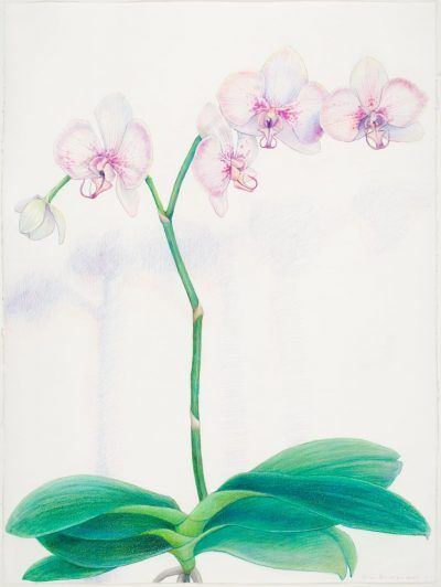 sgvnbs8e05t5tmndzkuj