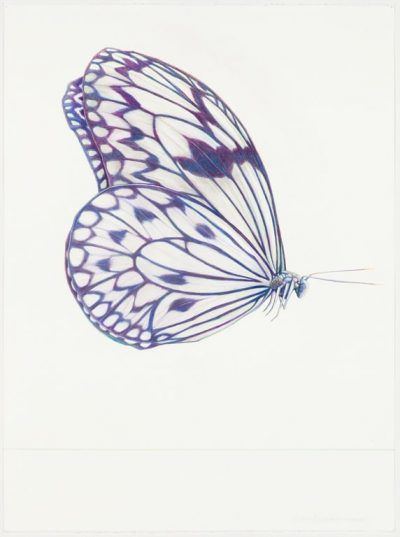 thfsi9mmmk2r5wvtaubf