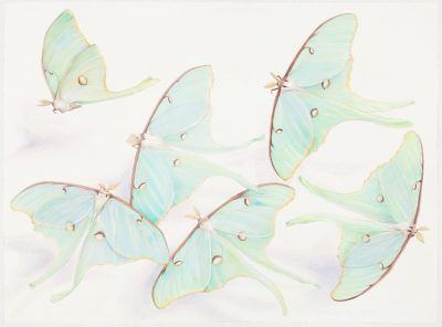 txmyeg1ykzclrz42di5e