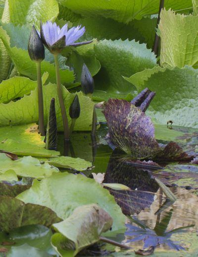 u1am9mxhgae0tugnbbsx