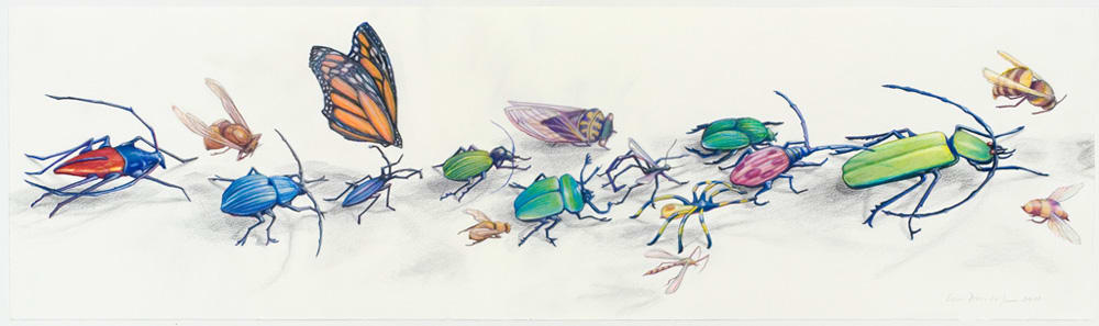 wdt7wdxbnrpmntn88ukr