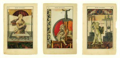 wts3f2rhmjcqfmi91ijg