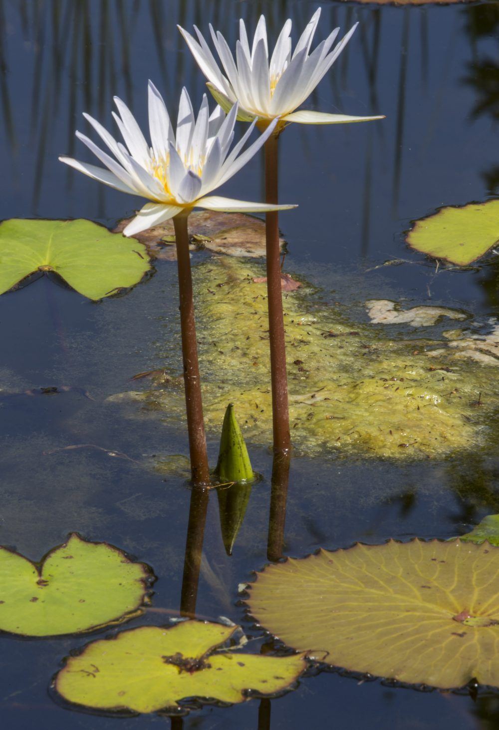 xgk5m5zr6ozzzdagd09k