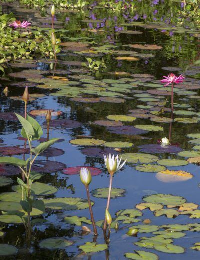 yuyfdi7uhtpjhbofamad