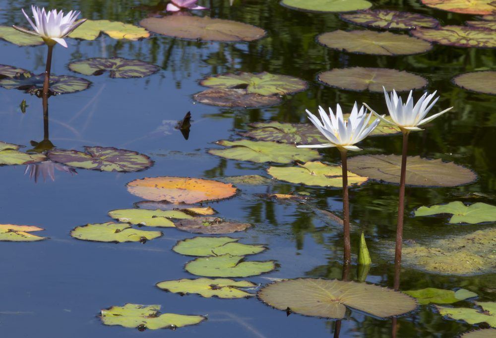 znoa52ebsvej4o4w1q2o