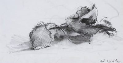 thumbnail_Stem Flower studies copy