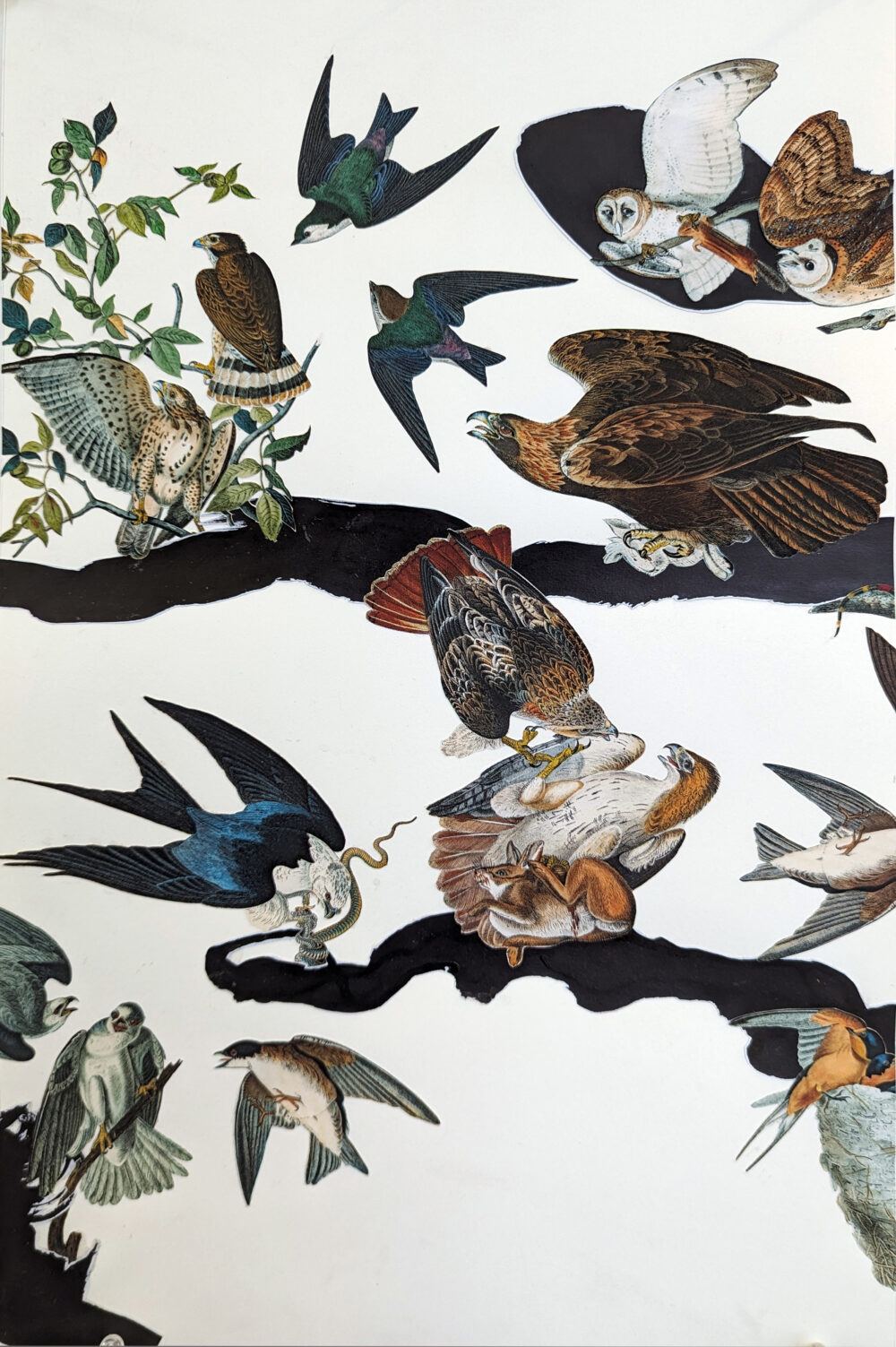 Infestations Vertical 1