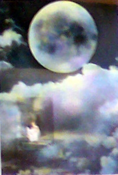 barbaramorganmanonthemooncropped