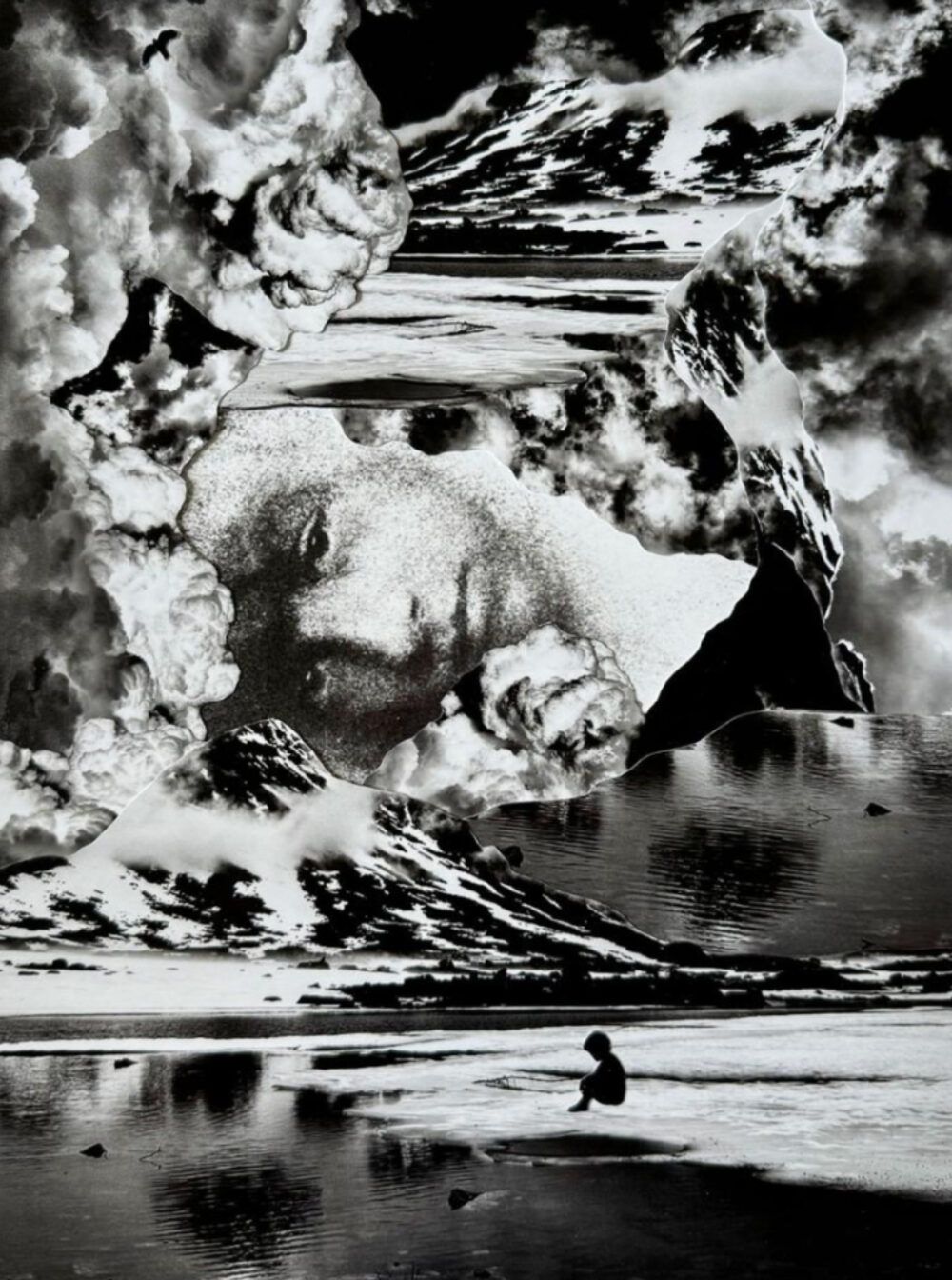 juliakohaneabsenceofsoundcropped