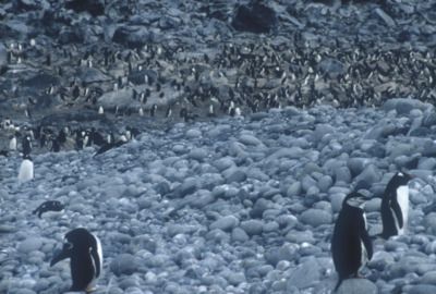 screenshot-2026-02-09-at-5.53.52pm