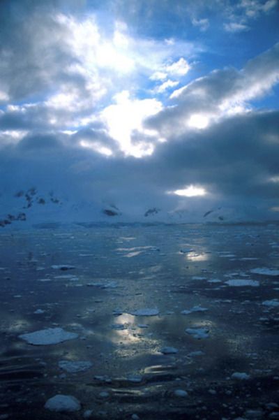 screenshot-2026-02-09-at-5.54.05pm