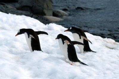 screenshot-2026-02-09-at-6.01.31pm